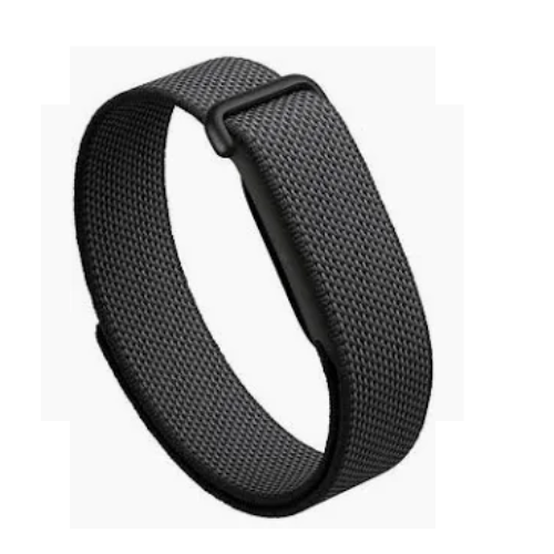 Google Fitbit Air