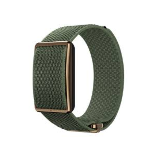Polar Loop