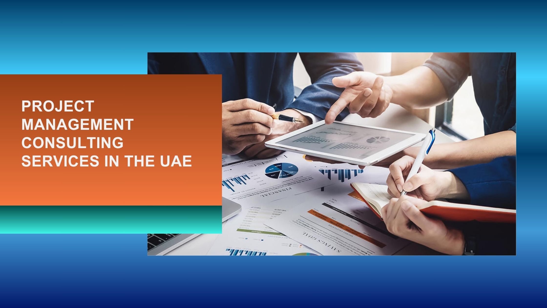 Analysis Of Project Management Consulting Services in The UAE